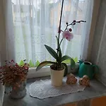 Apartmán Mit Charme In