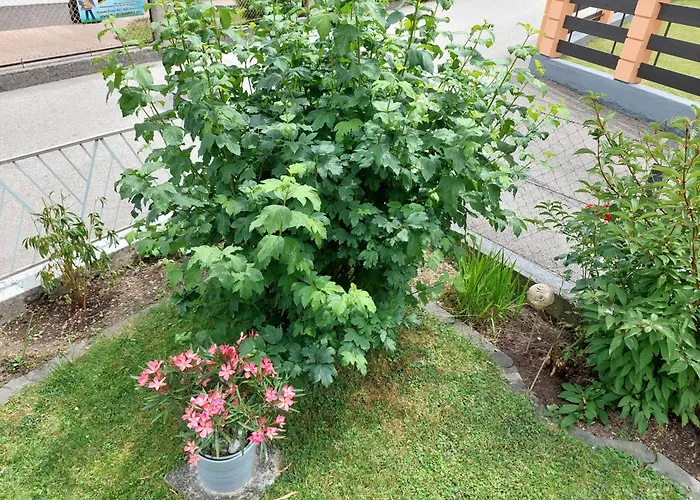 Mit Charme In Pinsdorf