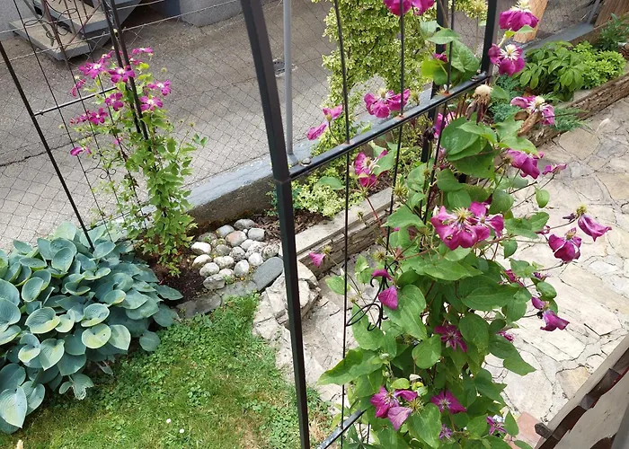 Mit Charme In * Pinsdorf