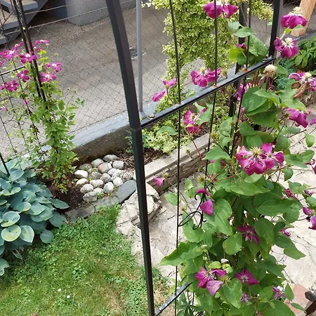 Mit Charme In * Pinsdorf