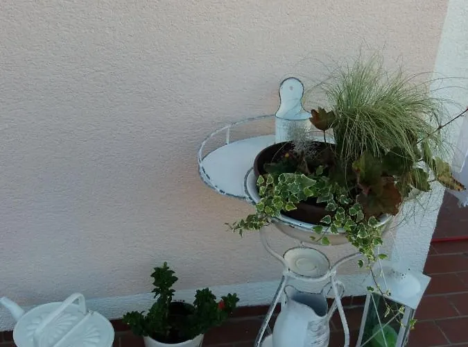 Mit Charme In شقة بنسدورف